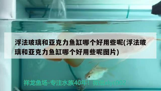 浮法玻璃和亞克力魚缸哪個好用些呢(浮法玻璃和亞克力魚缸哪個好用些呢圖片)