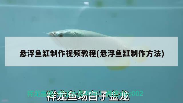 懸浮魚(yú)缸制作視頻教程(懸浮魚(yú)缸制作方法)