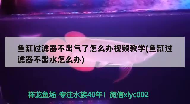 魚缸過(guò)濾器不出氣了怎么辦視頻教學(xué)(魚缸過(guò)濾器不出水怎么辦) 彩鰈魚缸（彩蝶魚缸）