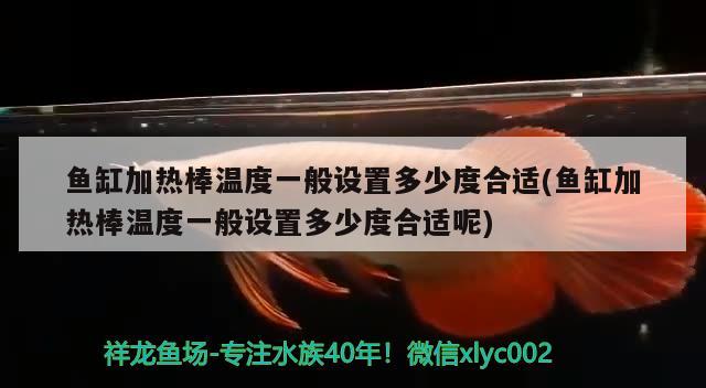 魚缸加熱棒溫度一般設(shè)置多少度合適(魚缸加熱棒溫度一般設(shè)置多少度合適呢)