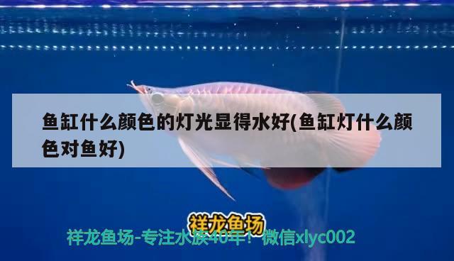 魚(yú)缸什么顏色的燈光顯得水好(魚(yú)缸燈什么顏色對(duì)魚(yú)好)