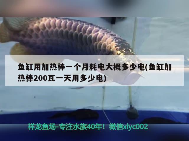 魚(yú)缸用加熱棒一個(gè)月耗電大概多少電(魚(yú)缸加熱棒200瓦一天用多少電) 魟魚(yú)百科