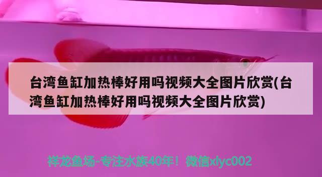 臺灣魚缸加熱棒好用嗎視頻大全圖片欣賞(臺灣魚缸加熱棒好用嗎視頻大全圖片欣賞)