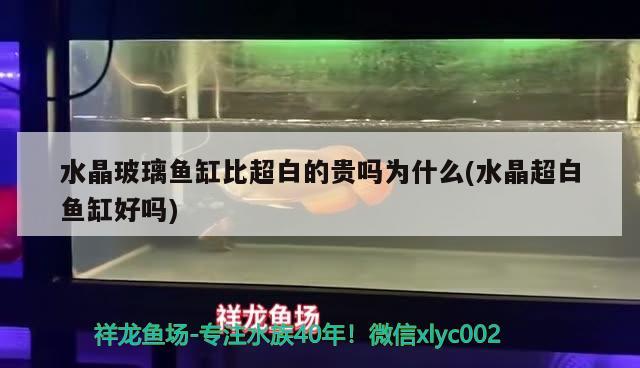 水晶玻璃魚缸比超白的貴嗎為什么(水晶超白魚缸好嗎) 沖氧泵