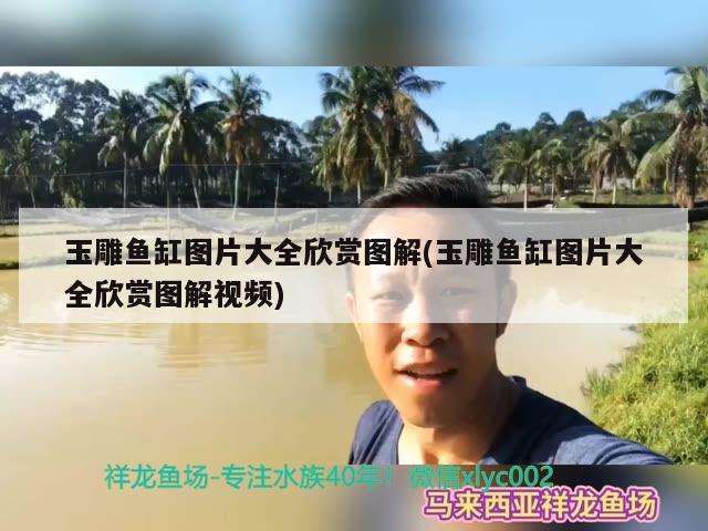 玉雕魚缸圖片大全欣賞圖解(玉雕魚缸圖片大全欣賞圖解視頻)