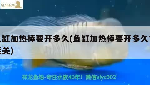 魚(yú)缸加熱棒要開(kāi)多久(魚(yú)缸加熱棒要開(kāi)多久才能關(guān))