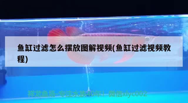 魚缸過濾怎么擺放圖解視頻(魚缸過濾視頻教程) 野彩魚