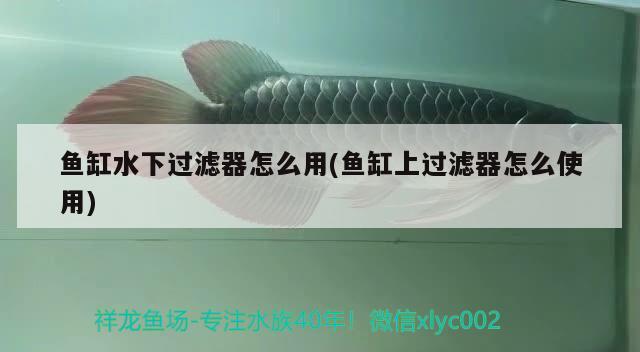 魚缸水下過濾器怎么用(魚缸上過濾器怎么使用) 充氧泵