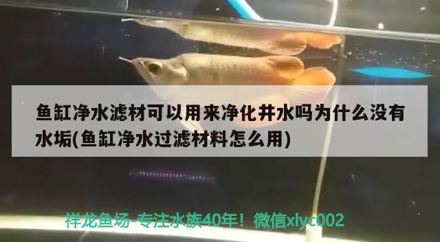 魚缸凈水濾材可以用來凈化井水嗎為什么沒有水垢(魚缸凈水過濾材料怎么用) 印尼小紅龍