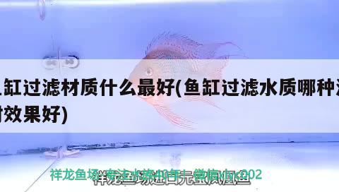 魚缸過濾材質(zhì)什么最好(魚缸過濾水質(zhì)哪種濾材效果好)