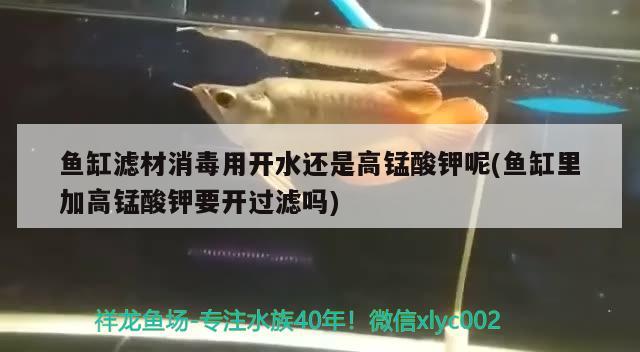 魚缸濾材消毒用開水還是高錳酸鉀呢(魚缸里加高錳酸鉀要開過濾嗎)