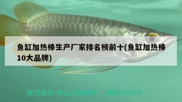 魚缸加熱棒生產(chǎn)廠家排名榜前十(魚缸加熱棒10大品牌) 雙線側(cè)魚