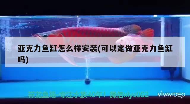 亞克力魚缸怎么樣安裝(可以定做亞克力魚缸嗎) 魚缸清潔用具