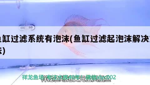 魚缸過濾系統(tǒng)有泡沫(魚缸過濾起泡沫解決方法) 魚缸清潔用具