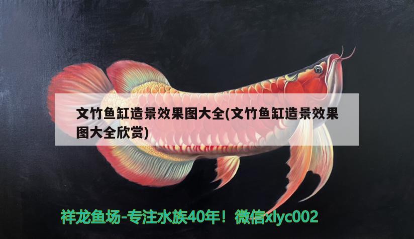 文竹魚缸造景效果圖大全(文竹魚缸造景效果圖大全欣賞)