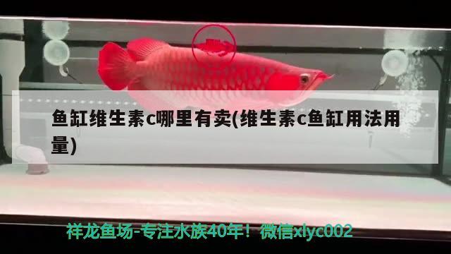 魚缸維生素c哪里有賣(維生素c魚缸用法用量) 印尼小紅龍