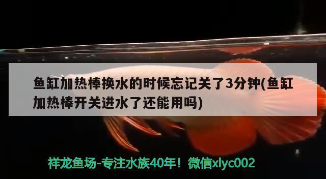 魚缸加熱棒換水的時(shí)候忘記關(guān)了3分鐘(魚缸加熱棒開(kāi)關(guān)進(jìn)水了還能用嗎) 女王大帆魚苗