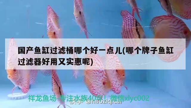 國產(chǎn)魚缸過濾桶哪個好一點兒(哪個牌子魚缸過濾器好用又實惠呢)