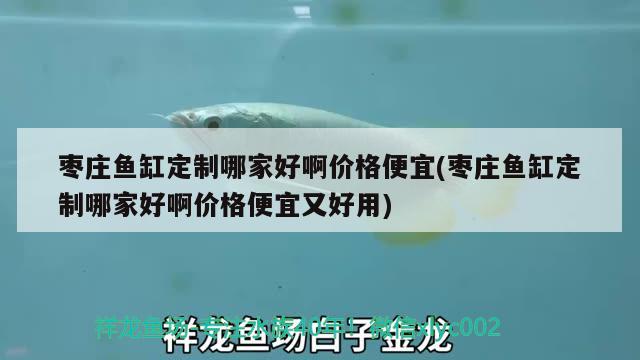 棗莊魚缸定制哪家好啊價格便宜(棗莊魚缸定制哪家好啊價格便宜又好用)