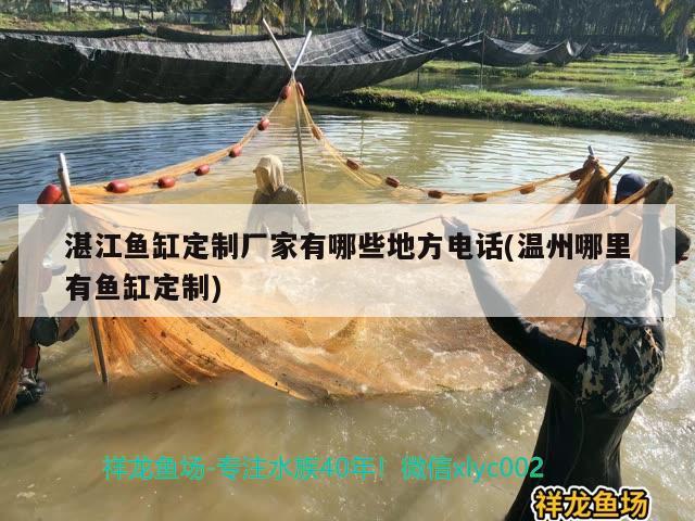 湛江魚缸定制廠家有哪些地方電話(溫州哪里有魚缸定制) 潛水艇魚