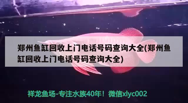 鄭州魚缸回收上門電話號(hào)碼查詢大全(鄭州魚缸回收上門電話號(hào)碼查詢大全) 超血紅龍魚