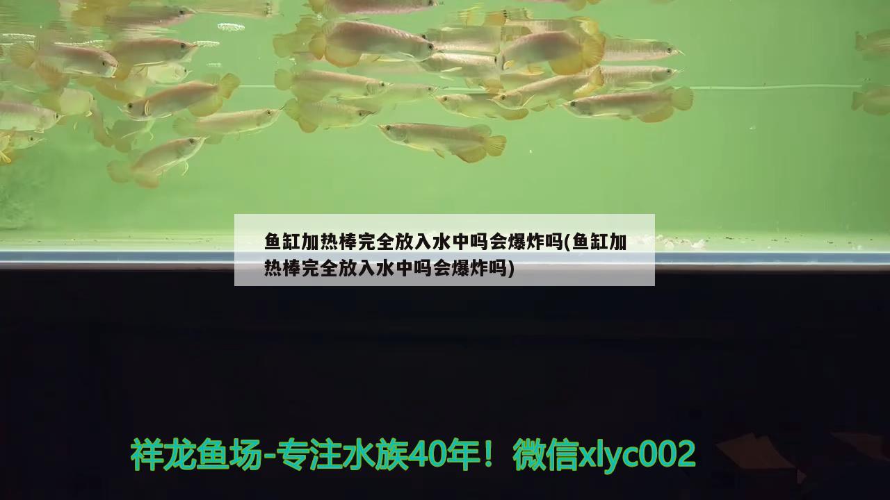 魚缸加熱棒完全放入水中嗎會爆炸嗎(魚缸加熱棒完全放入水中嗎會爆炸嗎) 水族用品