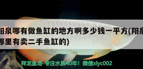 陽泉哪有做魚缸的地方啊多少錢一平方(陽泉哪里有賣二手魚缸的) 青龍魚