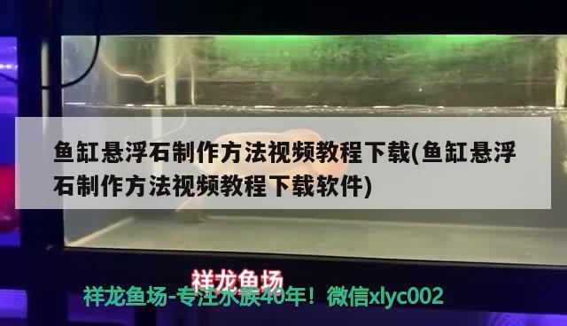 魚缸懸浮石制作方法視頻教程下載(魚缸懸浮石制作方法視頻教程下載軟件) 硝化細菌