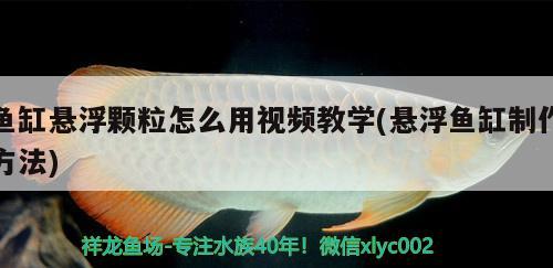 魚缸懸浮顆粒怎么用視頻教學(xué)(懸浮魚缸制作方法) 海水魚（海水魚批發(fā)）