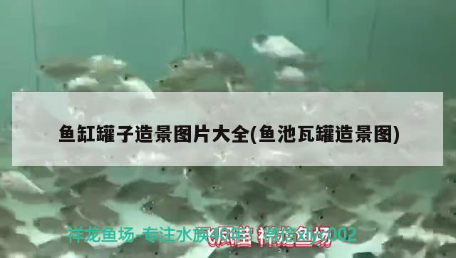 魚缸罐子造景圖片大全(魚池瓦罐造景圖) 三色錦鯉魚