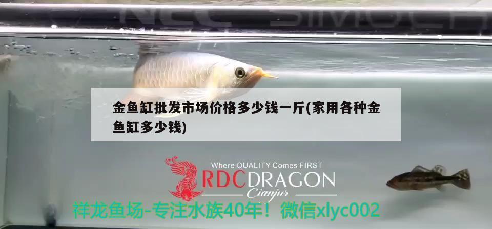 金魚缸批發(fā)市場價格多少錢一斤(家用各種金魚缸多少錢) 祥龍金禾金龍魚