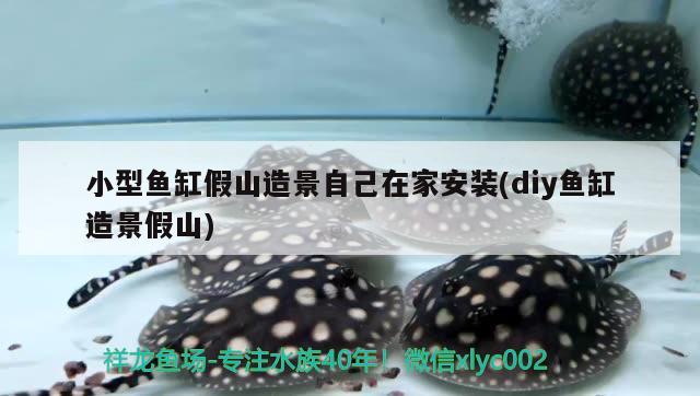 小型魚缸假山造景自己在家安裝(diy魚缸造景假山) 錦鯉池魚池建設(shè)