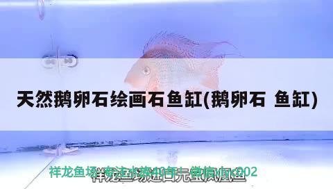 天然鵝卵石繪畫石魚缸(鵝卵石魚缸)