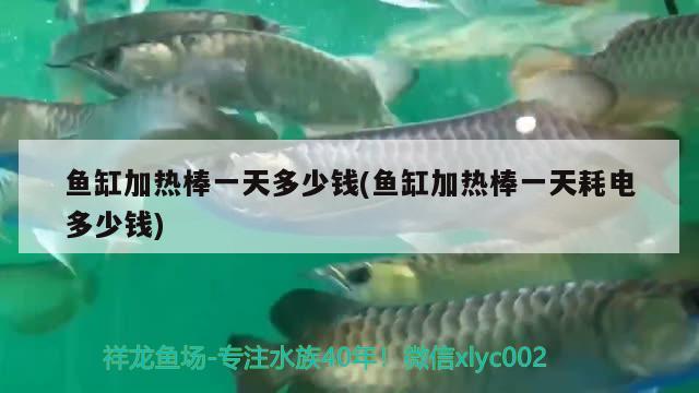 魚缸加熱棒一天多少錢(魚缸加熱棒一天耗電多少錢)