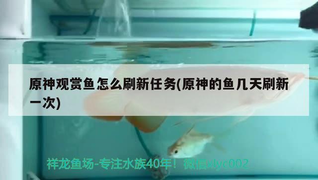 原神觀賞魚怎么刷新任務(wù)(原神的魚幾天刷新一次)