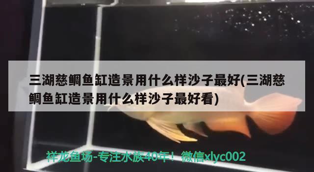 三湖慈鯛魚缸造景用什么樣沙子最好(三湖慈鯛魚缸造景用什么樣沙子最好看)