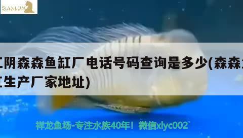 江陰森森魚缸廠電話號碼查詢是多少(森森魚缸生產(chǎn)廠家地址) 白化火箭魚