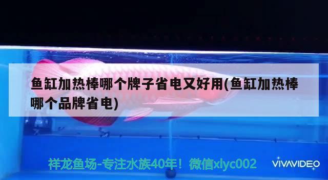 魚缸加熱棒哪個(gè)牌子省電又好用(魚缸加熱棒哪個(gè)品牌省電) 噴點(diǎn)菠蘿魚