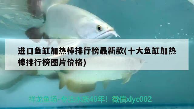 進(jìn)口魚缸加熱棒排行榜最新款(十大魚缸加熱棒排行榜圖片價(jià)格) 黃鰭鯧魚