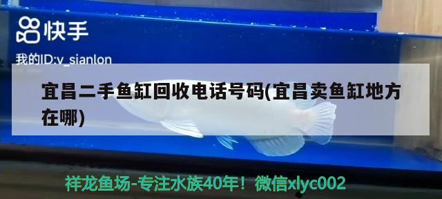 宜昌二手魚(yú)缸回收電話號(hào)碼(宜昌賣(mài)魚(yú)缸地方在哪) 九鼎魚(yú)缸