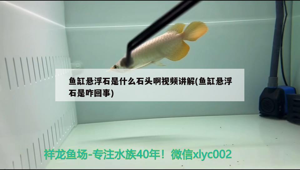 魚缸懸浮石是什么石頭啊視頻講解(魚缸懸浮石是咋回事)