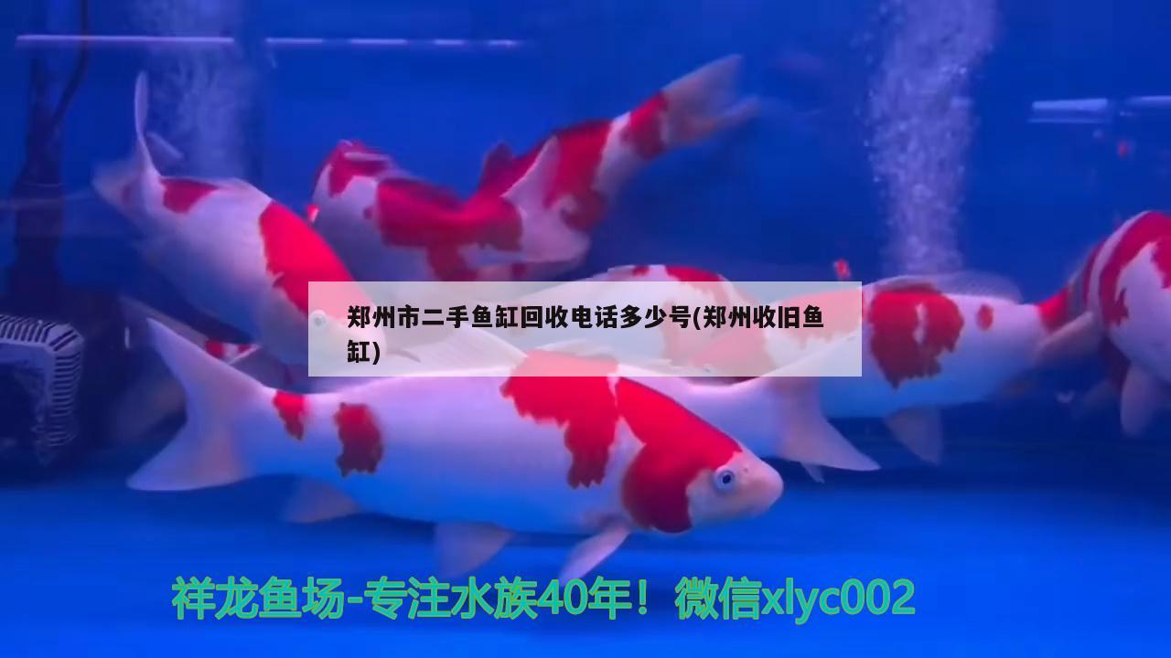 鄭州市二手魚缸回收電話多少號(鄭州收舊魚缸)