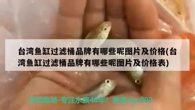 臺灣魚缸過濾桶品牌有哪些呢圖片及價(jià)格(臺灣魚缸過濾桶品牌有哪些呢圖片及價(jià)格表) 三間鼠魚苗