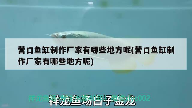 營口魚缸制作廠家有哪些地方呢(營口魚缸制作廠家有哪些地方呢) 沖氧泵