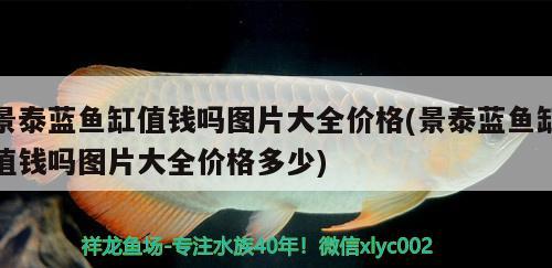 景泰藍(lán)魚(yú)缸值錢嗎圖片大全價(jià)格(景泰藍(lán)魚(yú)缸值錢嗎圖片大全價(jià)格多少) 白子銀版魚(yú)