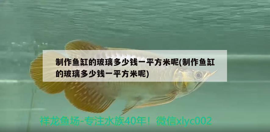 制作魚(yú)缸的玻璃多少錢(qián)一平方米呢(制作魚(yú)缸的玻璃多少錢(qián)一平方米呢)