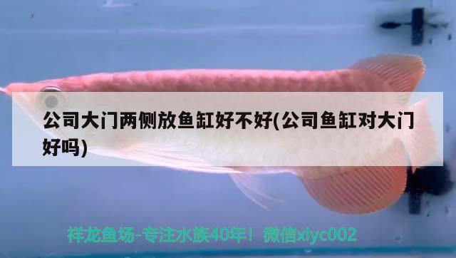 公司大門兩側(cè)放魚缸好不好(公司魚缸對(duì)大門好嗎) 可麗愛魚缸