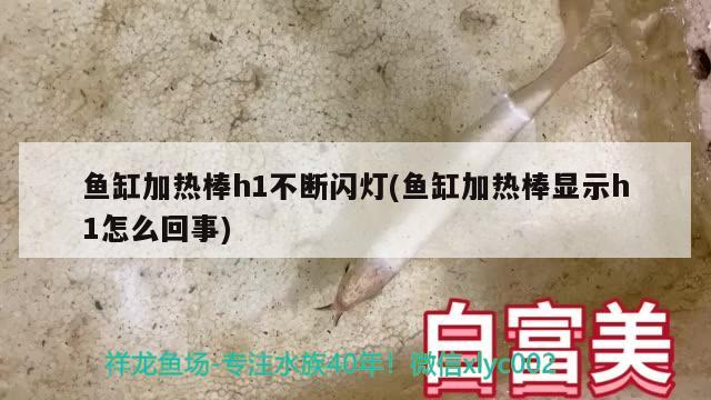 魚缸加熱棒h1不斷閃燈(魚缸加熱棒顯示h1怎么回事) 殺菌消毒設(shè)備