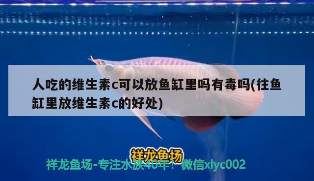 人吃的維生素c可以放魚缸里嗎有毒嗎(往魚缸里放維生素c的好處) 鸚鵡魚