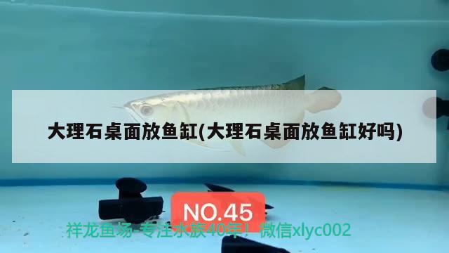 大理石桌面放魚(yú)缸(大理石桌面放魚(yú)缸好嗎)